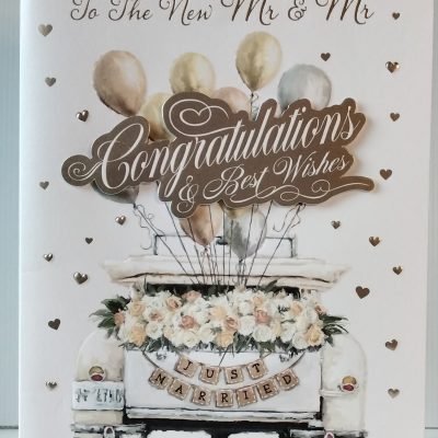 Mr & Mr Wedding Day Card