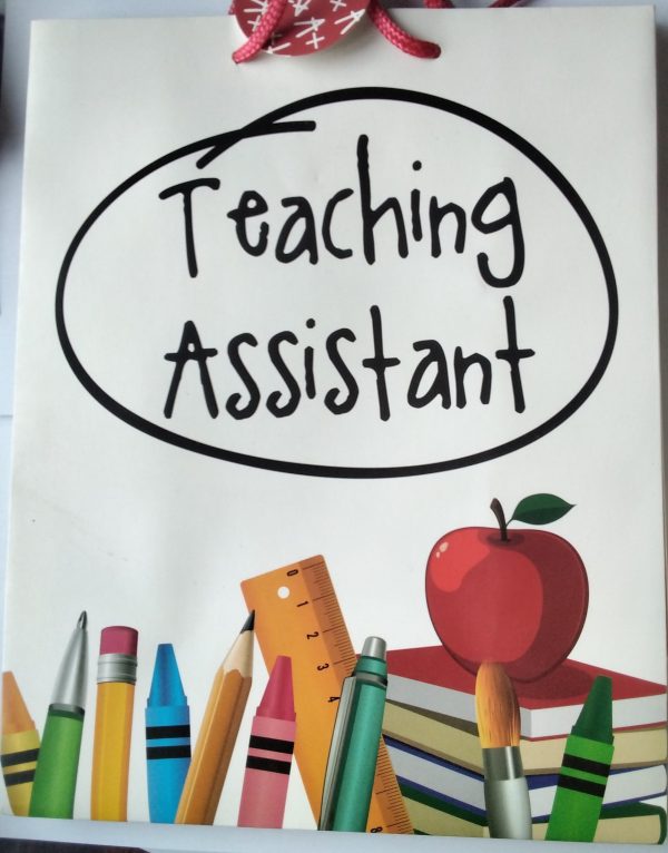 Teaching Assistant