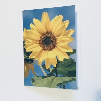 Blank Card Sunflower