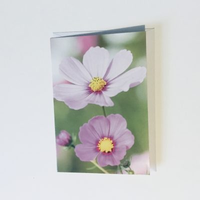 Blank Card Lilac Flower