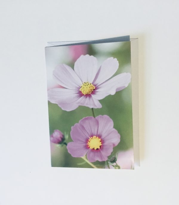 Blank Card Lilac Flower