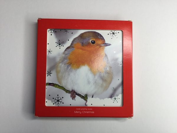 Robin boxed Christmas cards