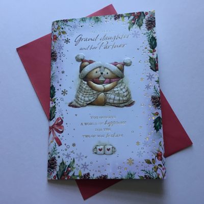 (Simon Elvin) Granddaughter and Partner Cute Christmas card
