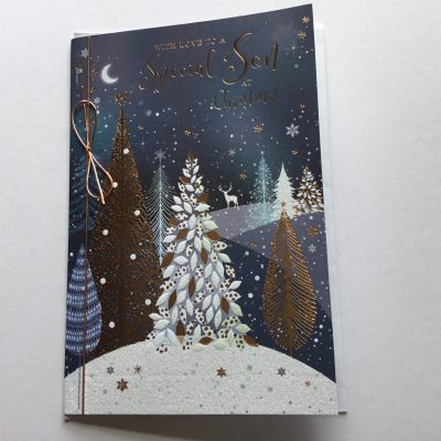 (Simon Elvin) Son Traditional Christmas card