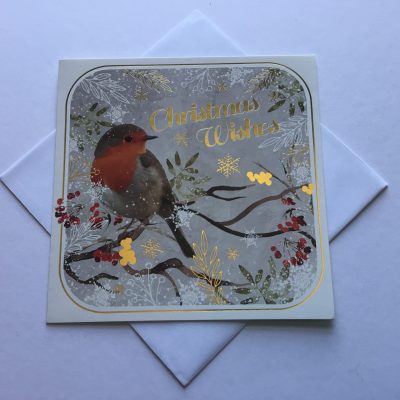 Boxed Robin Christmas cards