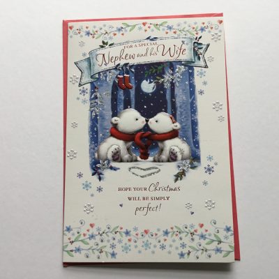 (Simon Elvin) Nephew and Wife Cute Christmas card