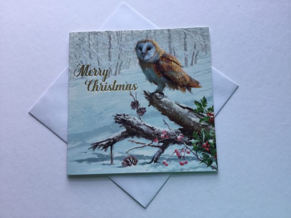 Box of 12 winter woodland Christmas cards