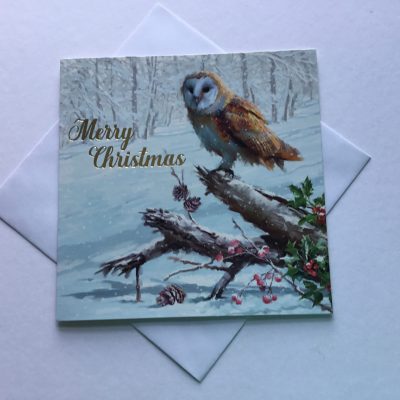 Box of 12 winter woodland Christmas cards