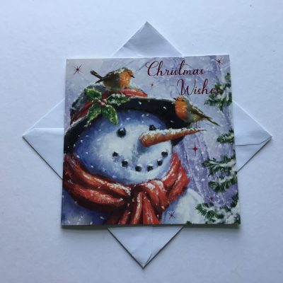 Box of 12 Snowman and Robin Christmas cards
