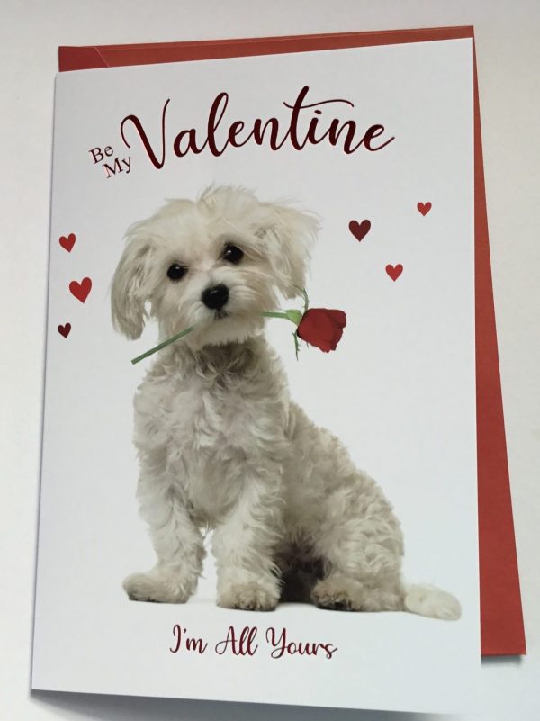 Cute Open Valentines Card