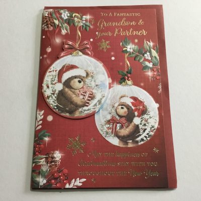Grandson & Partner Cute Christmas Card