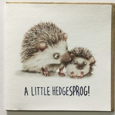 A Little Hedgesprog Birth Card